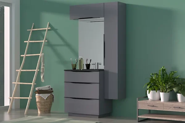 Castorama Meuble Sous Vasque à Poser Pamili Gris Anthracite Brillant 80 Cm + Plan Vasque En Résine Noir dernières 1